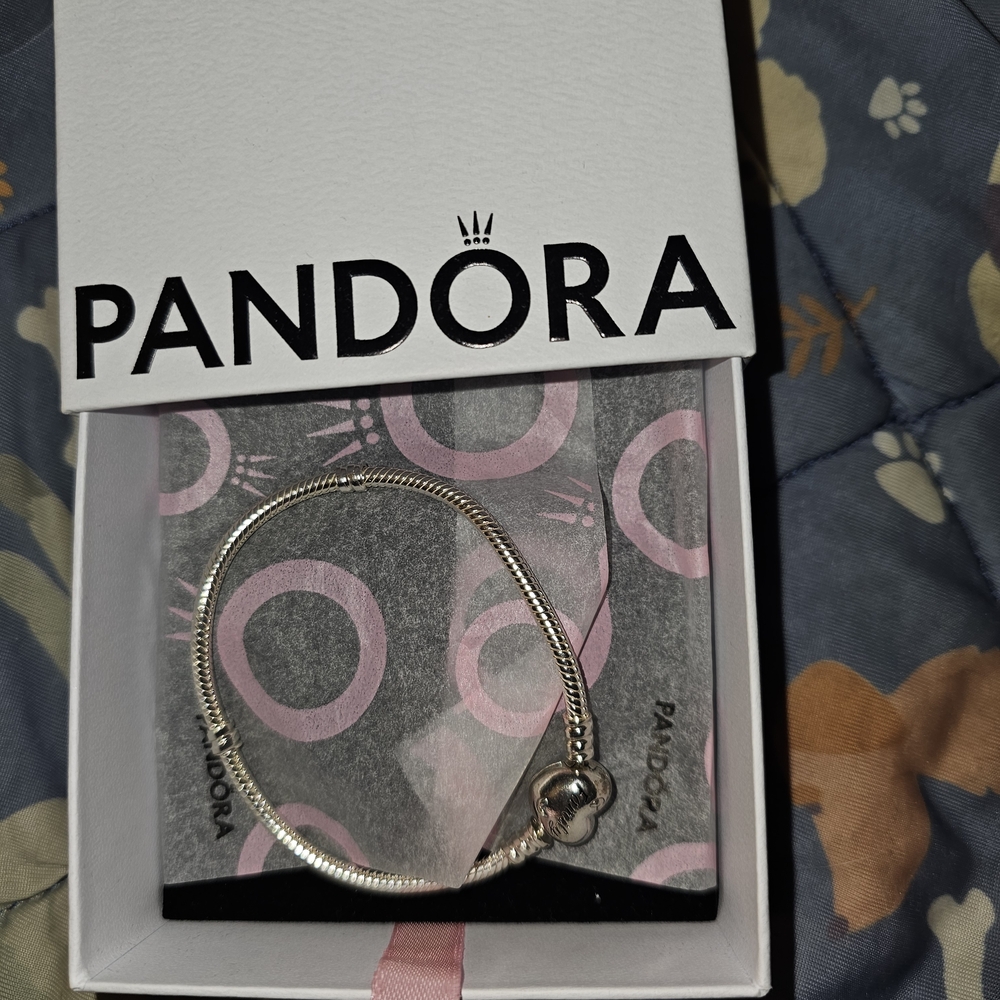 Pandora Classic Silver Bracelet